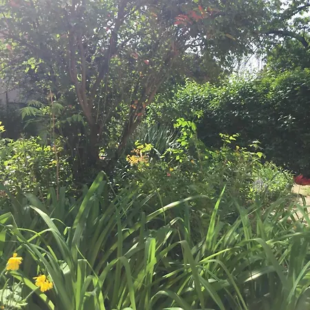 Apartmán City Home Apartman *