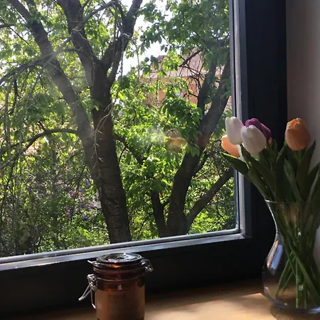 City Home Apartman *