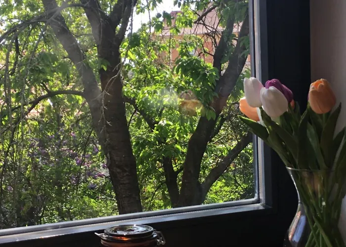 City Home Apartman *